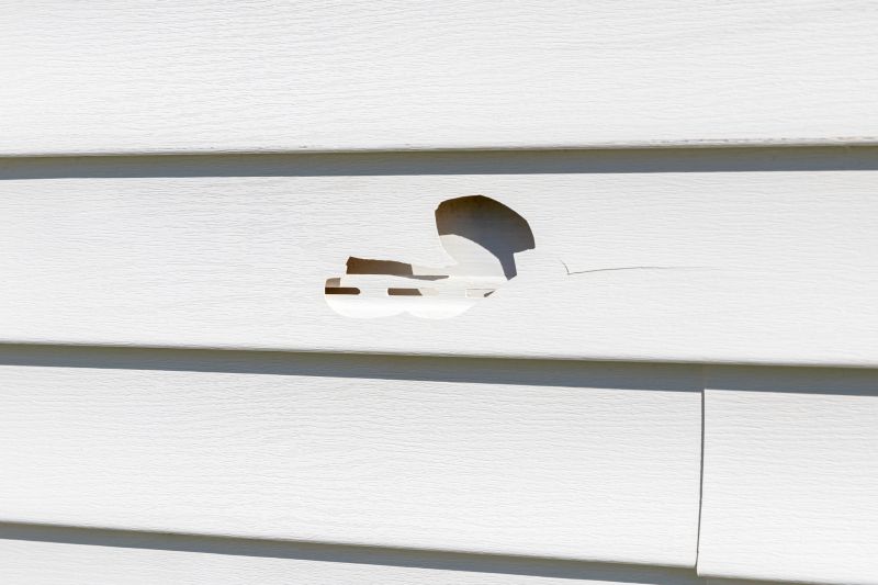 Crack Fix on Vinyl Siding